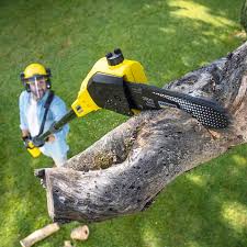 Best Lawn Irrigation Installation and Maintenance  in Los Luceros, NM
